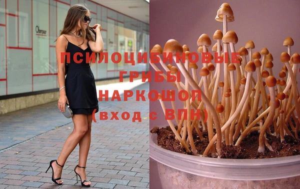 а пвп мука Абдулино