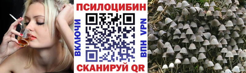 Галлюциногенные грибы Magic Shrooms Спас-Клепики